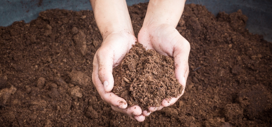 Manfaat Bungkil Sawit