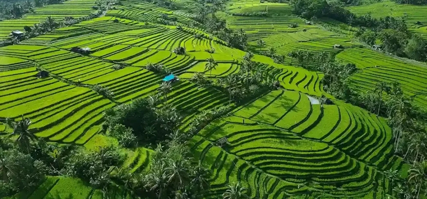 Dinas Lingkungan Hidup