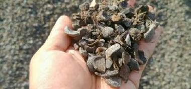 Spesifikasi Cangkang Sawit